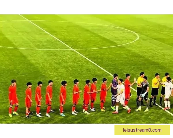 巴斯蒂亚U19大胜阿雅克肖GFCO U19 5比0 轻松收获胜利 巴斯蒂亚U19大胜阿雅克肖GFCO U19 5比0 轻松收获胜利