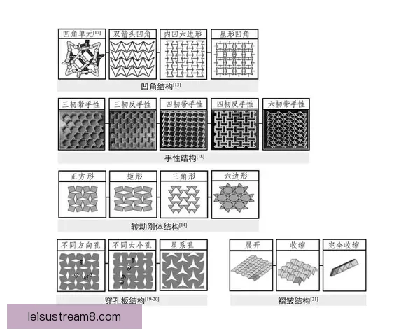 围绕帕地普利德1-3特芬琳的结构机制应用与前景系统性研究综述
